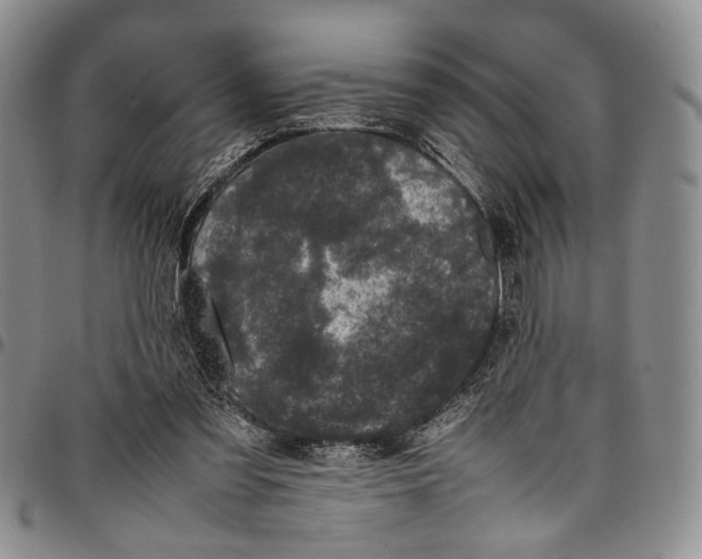 X0000098000301200804141213