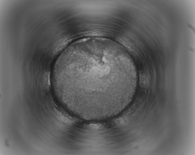 X0000098000302200804141213