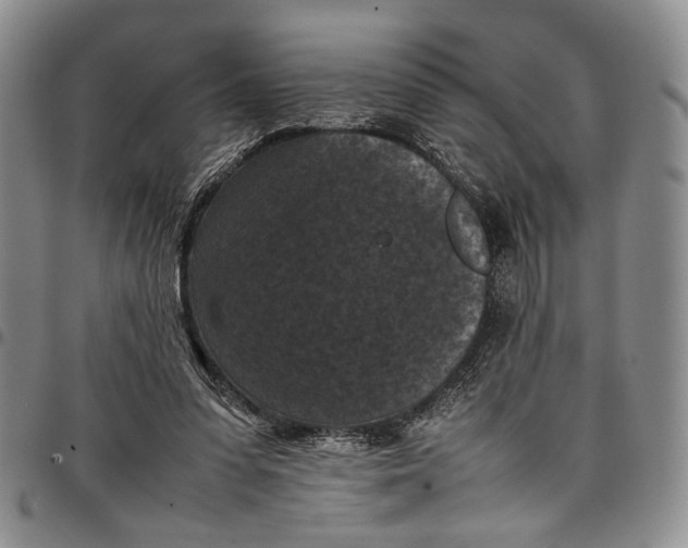 X0000098000303200804141213