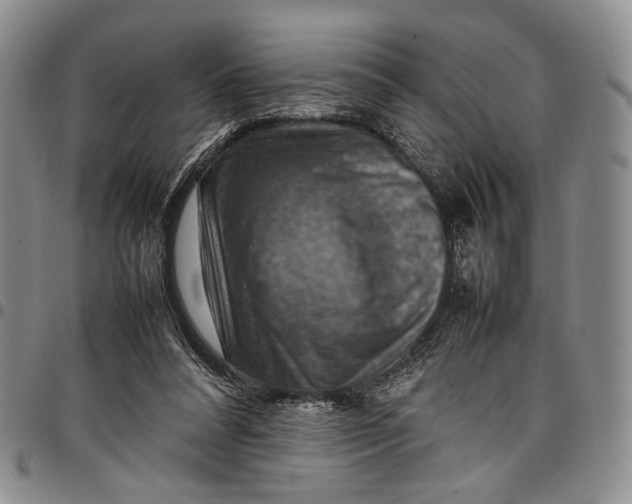 X0000098000304200804141213
