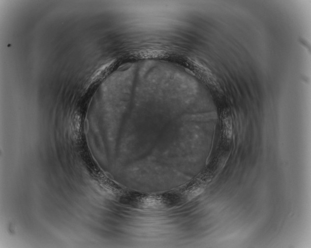 X0000098000308200804141213