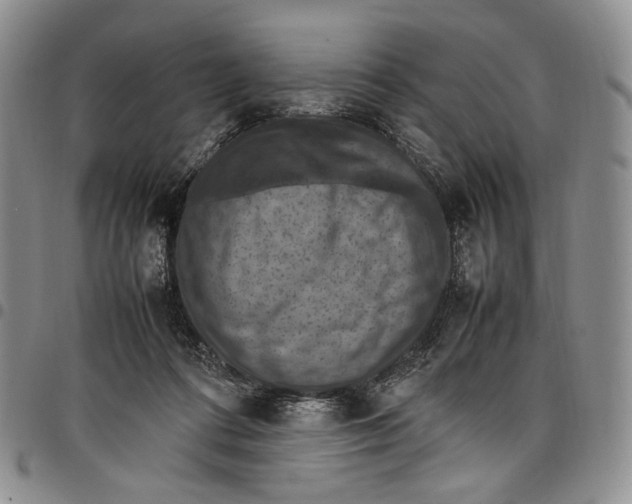 X0000098000312200804141213