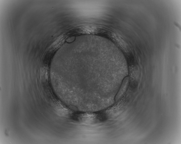 X0000098000313200804141213