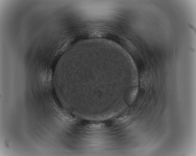 X0000098000314200804141213