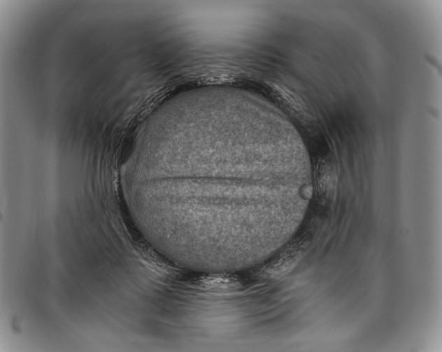 X0000098000315200804141213