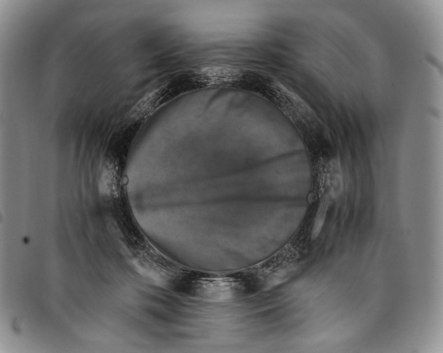 X0000098000316200804141213