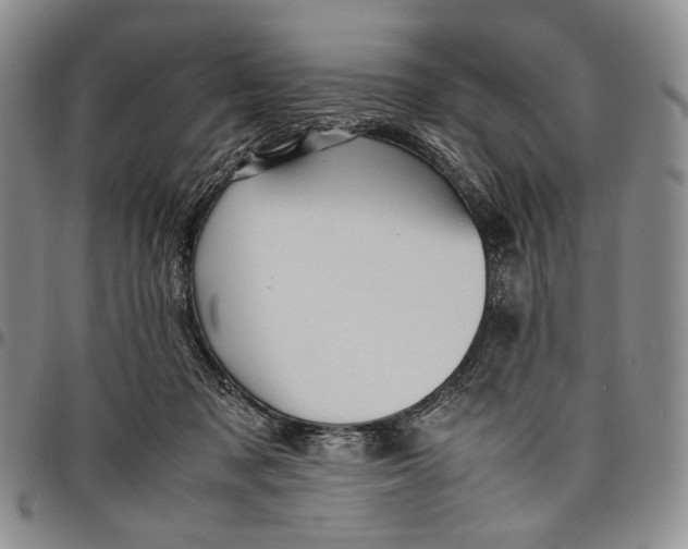X0000098000317200804141213
