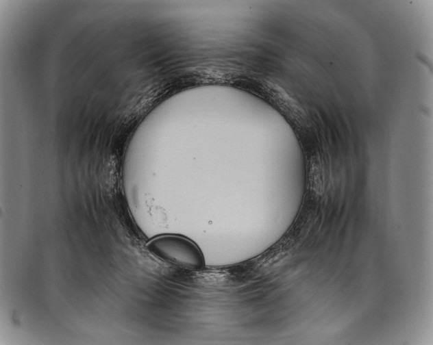 X0000098000318200804141213