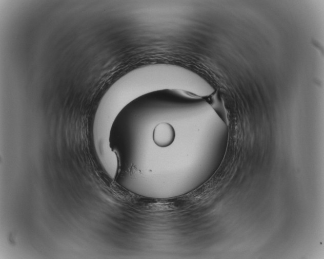 X0000098000320200804141213