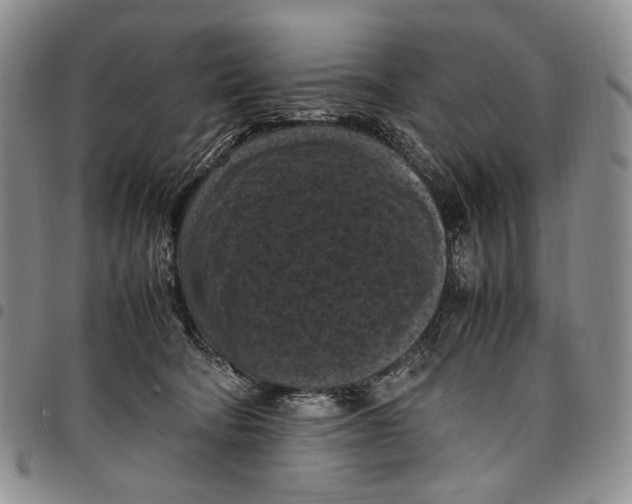 X0000098000322200804141213