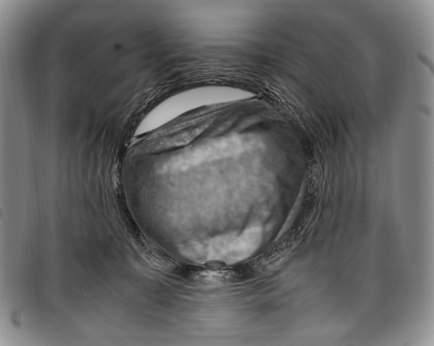 X0000098000323200804141213