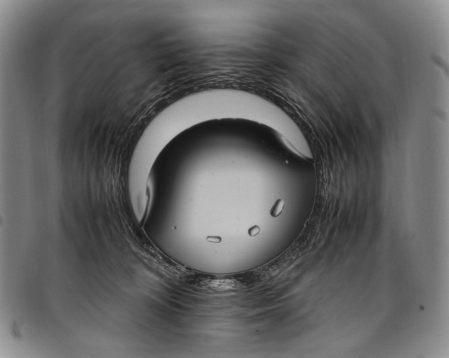X0000098000324200804141213
