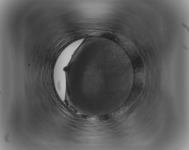 X0000098000325200804141213