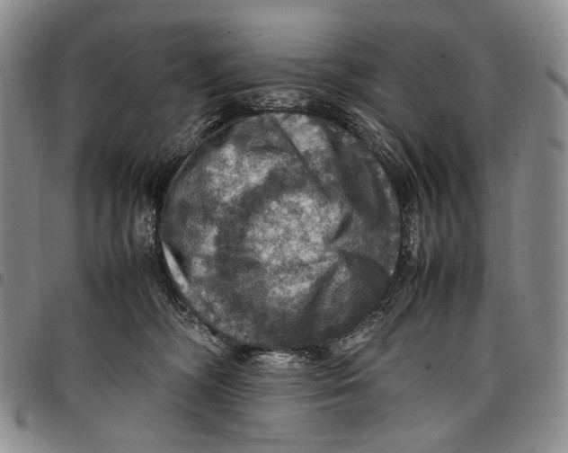 X0000098000326200804141213