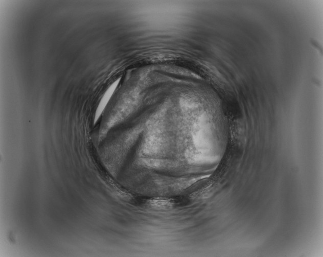 X0000098000327200804141213