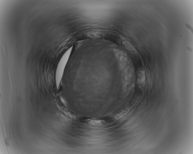 X0000098000332200804141213