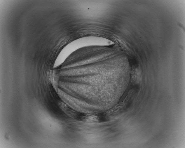X0000098000333200804141213