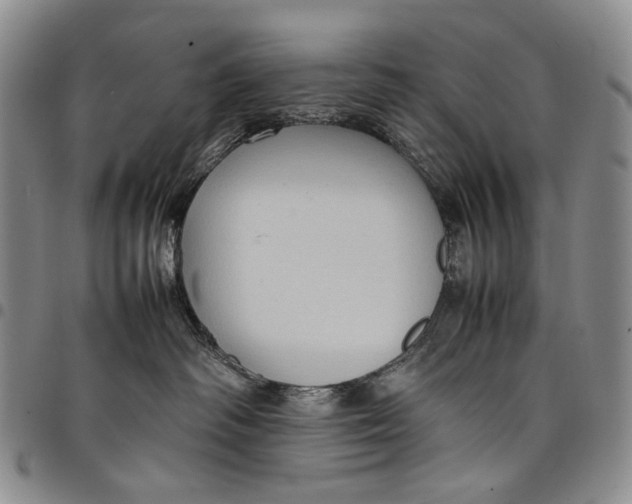 X0000098000334200804141213