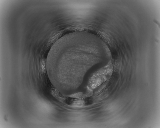 X0000098000335200804141213