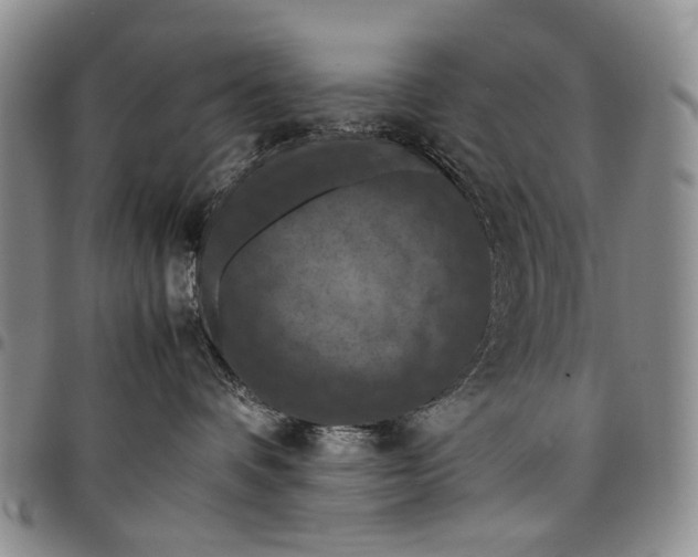 X0000098000336200804141213