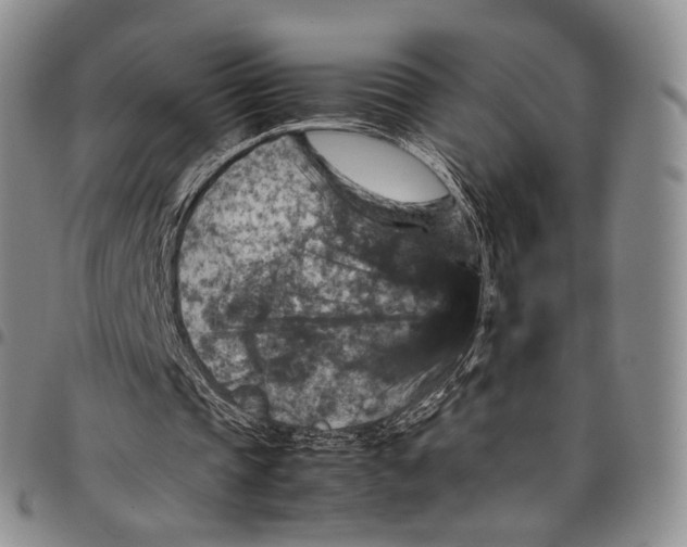 X0000098000337200804141212
