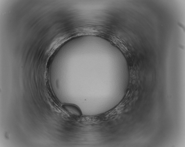 X0000098000338200804141212