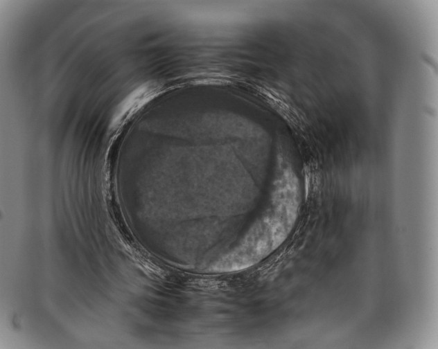 X0000098000339200804141212