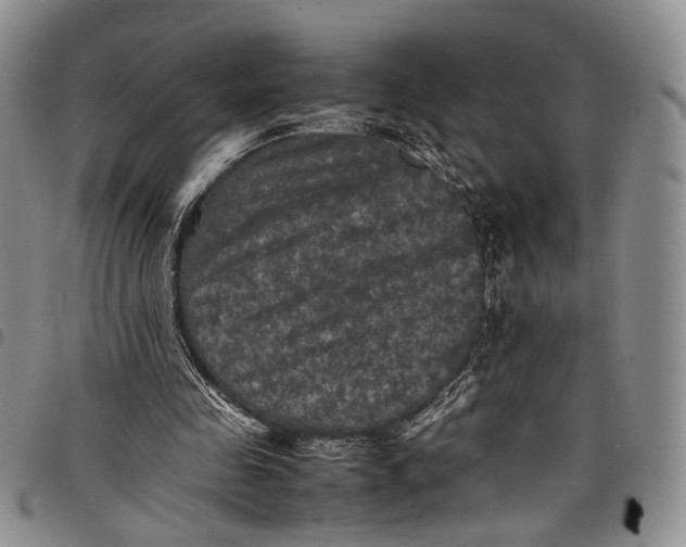 X0000098000341200804141212