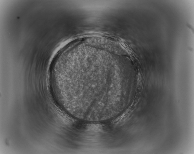 X0000098000342200804141212