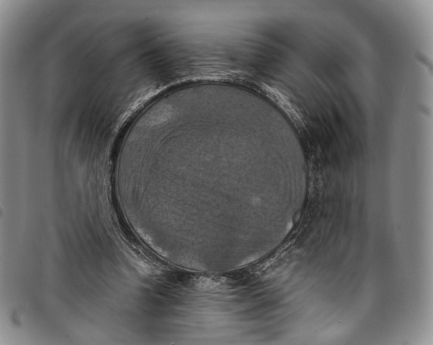 X0000098000346200804141212