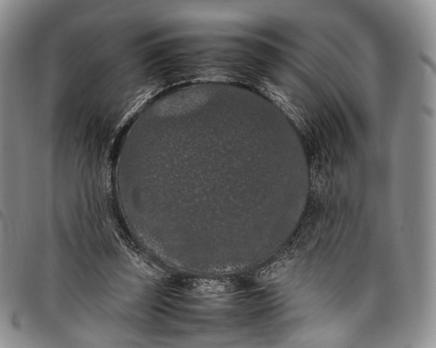 X0000098000347200804141212