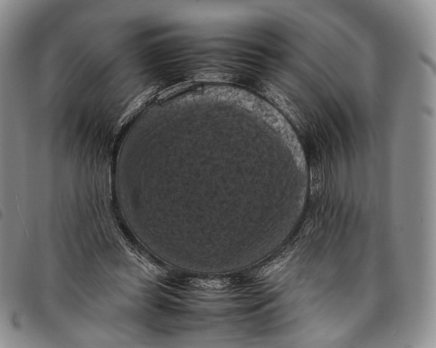 X0000098000349200804141212