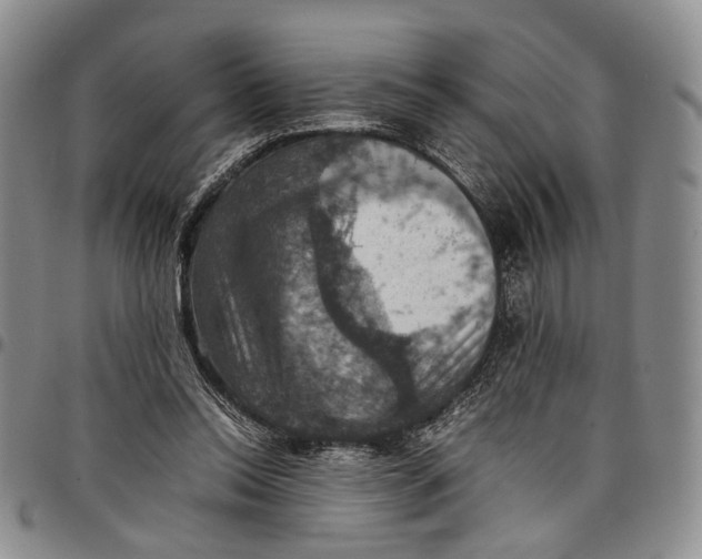 X0000098000350200804141212