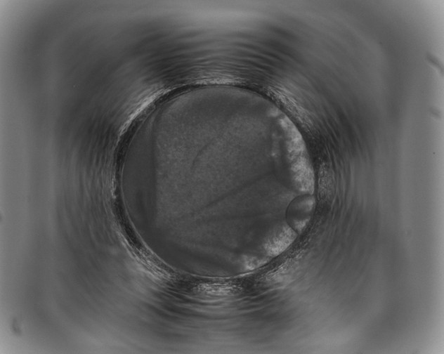 X0000098000351200804141212