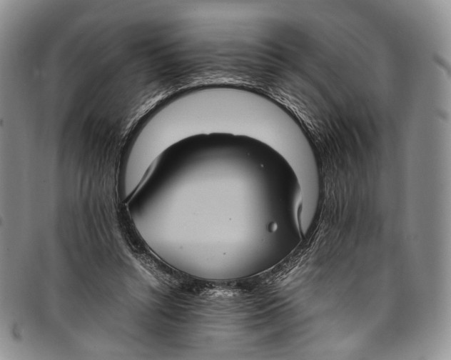 X0000098000352200804141212