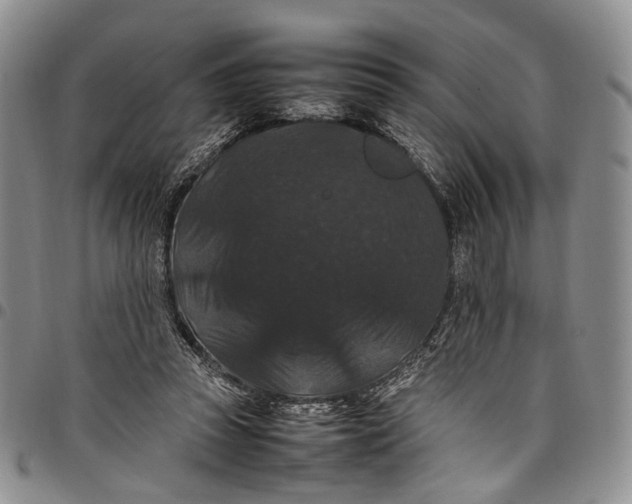 X0000098000353200804141212