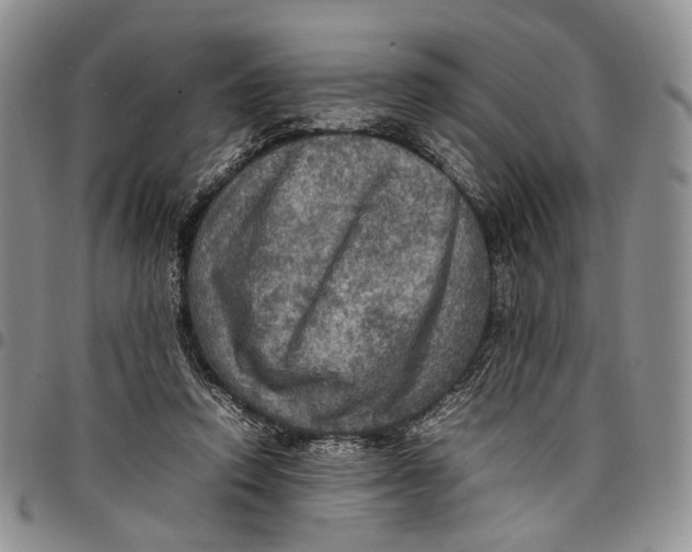 X0000098000354200804141212
