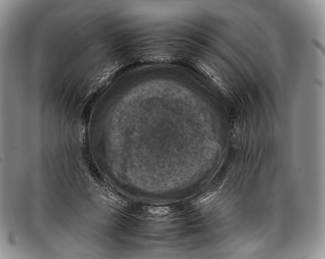 X0000098000355200804141212