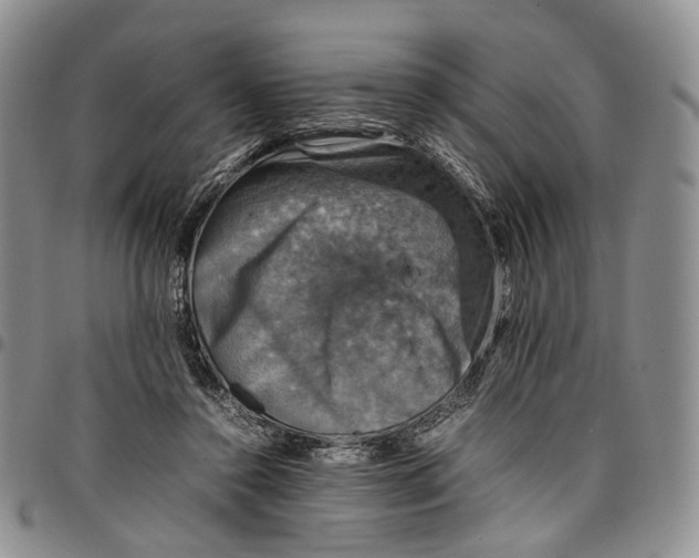 X0000098000356200804141212