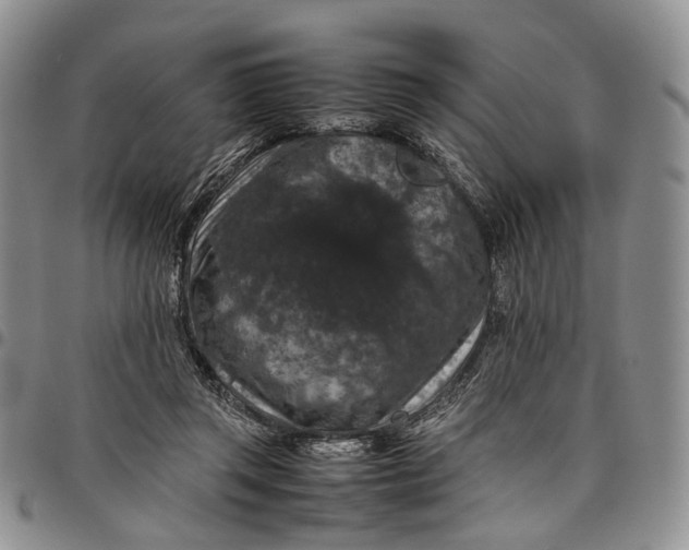 X0000098000357200804141212
