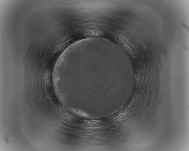 X0000098000359200804141212