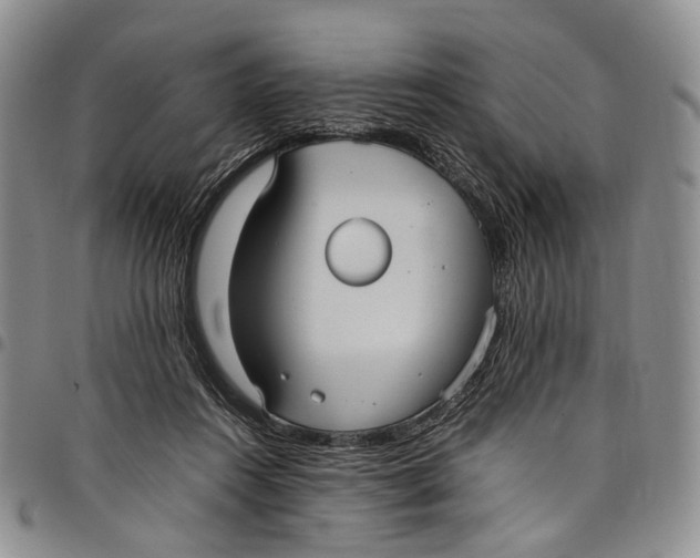 X0000098000360200804141212