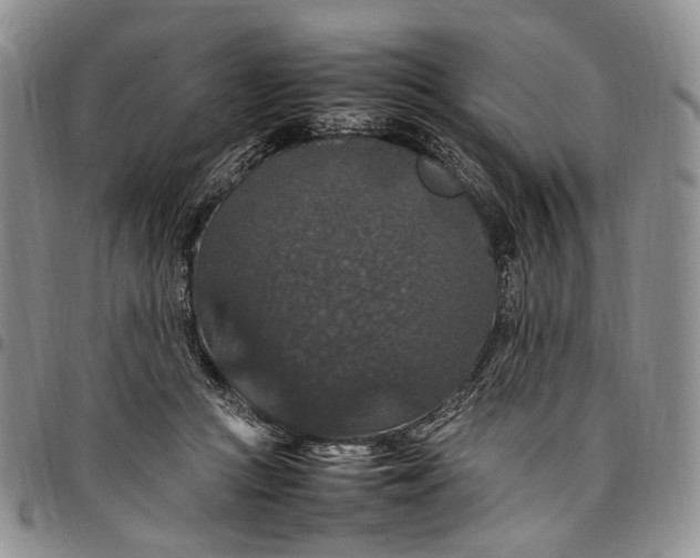 X0000098000361200804141212
