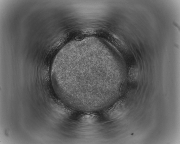 X0000098000364200804141212