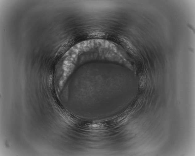 X0000098000365200804141212
