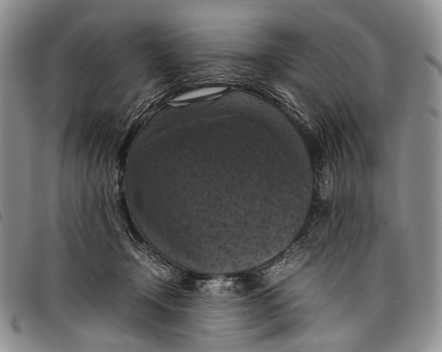 X0000098000366200804141212