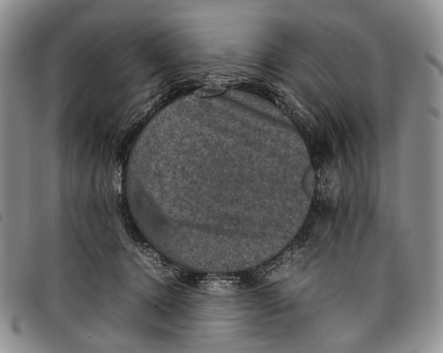 X0000098000368200804141212