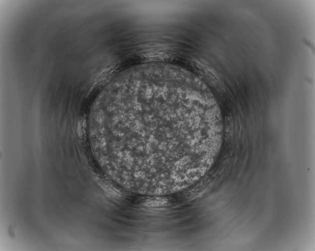X0000098000369200804141212