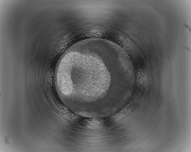 X0000098000370200804141213