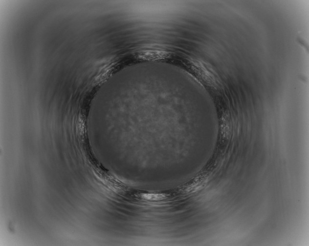 X0000098000371200804141213